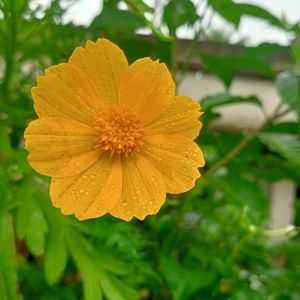 Meet your Posher, Shweta